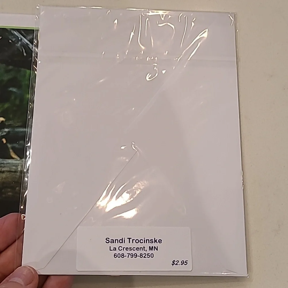 Nature Wildlife Cards. NEW